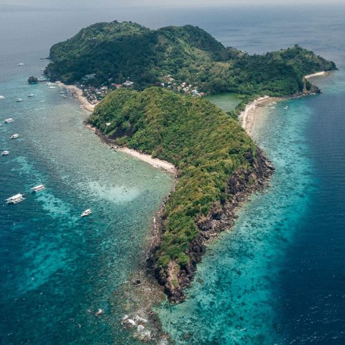 Apo Island